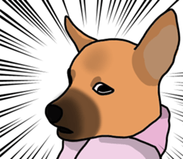 So cute dog (Mix)2 sticker #12049781