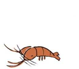 shrimp-friends ver2 sticker #12050663