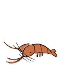 shrimp-friends ver2 sticker #12050663