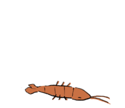 shrimp-friends ver2 sticker #12050700