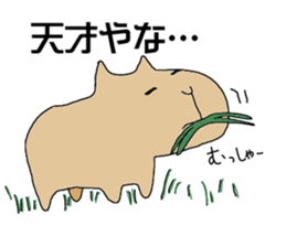 Rare animals sticker #12051081