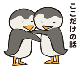 PIGPONG's Mr. Penguin sticker #12053301