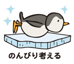 PIGPONG's Mr. Penguin sticker #12053305