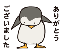 PIGPONG's Mr. Penguin sticker #12053311