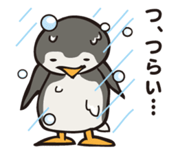 PIGPONG's Mr. Penguin sticker #12053332