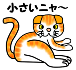 Tamabu- 4 sticker #12054222