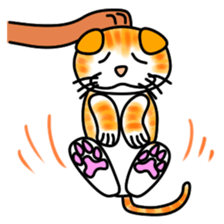 Tamabu- 4 sticker #12054272