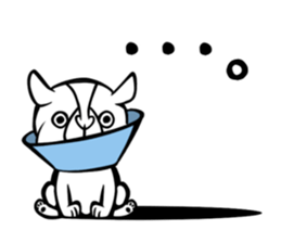 Pocha Tonteria sticker #12054487