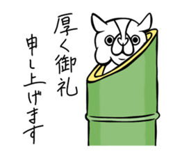 Pocha Tonteria sticker #12054494
