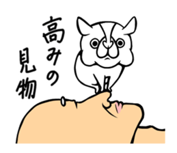 Pocha Tonteria sticker #12054512