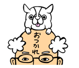 Pocha Tonteria sticker #12054516