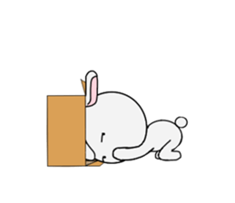 A rabbit and cardboard box sticker #12054739