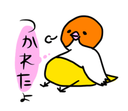 Beer belly bird sticker #12054806