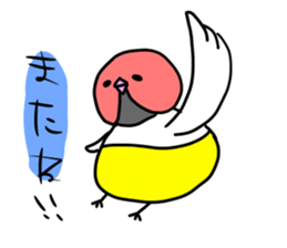 Beer belly bird sticker #12054840