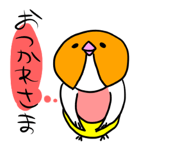 Beer belly bird sticker #12054843