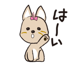 yorkie Jenny sticker #12054929