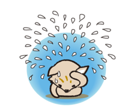 yorkie Jenny sticker #12054949