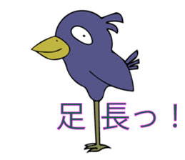 Fool crow sticker #12055594