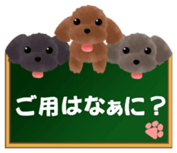 toy-poodle3 sticker #12056197
