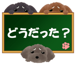 toy-poodle3 sticker #12056202