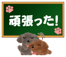 toy-poodle3 sticker #12056203