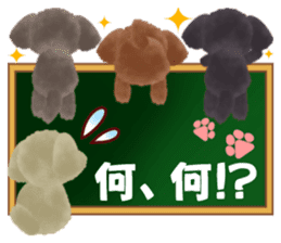 toy-poodle3 sticker #12056211