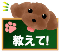 toy-poodle3 sticker #12056212