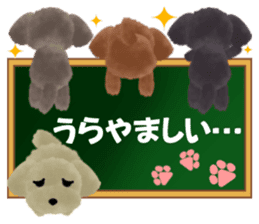 toy-poodle3 sticker #12056213