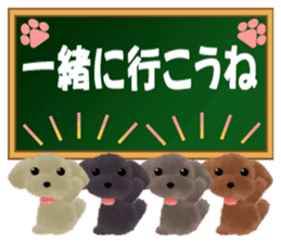 toy-poodle3 sticker #12056218