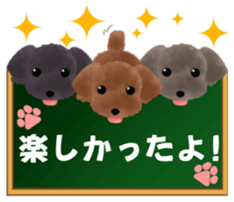 toy-poodle3 sticker #12056220