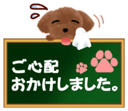 toy-poodle3 sticker #12056224