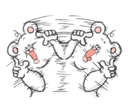 Cool birds and Friends sticker #12056468