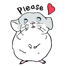 Chinchilla paradise! sticker #12057054