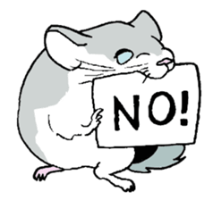 Chinchilla paradise! sticker #12057055