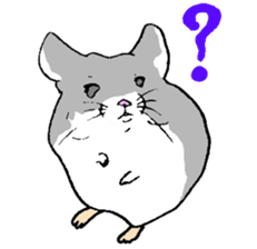 Chinchilla paradise! sticker #12057056