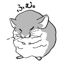 Chinchilla paradise! sticker #12057059