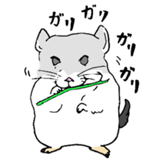 Chinchilla paradise! sticker #12057060