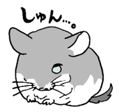 Chinchilla paradise! sticker #12057070