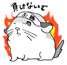 Chinchilla paradise! sticker #12057071