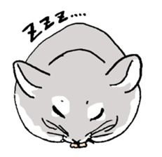 Chinchilla paradise! sticker #12057072