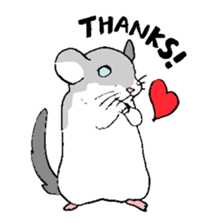 Chinchilla paradise! sticker #12057075