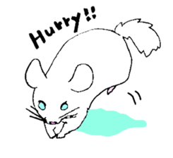 Chinchilla paradise! sticker #12057076