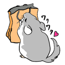 Chinchilla paradise! sticker #12057081