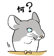 Chinchilla paradise! sticker #12057085