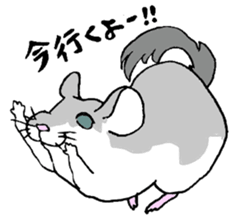 Chinchilla paradise! sticker #12057086