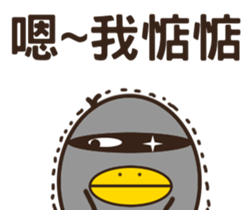 Cool surprise penguins sticker #12059057