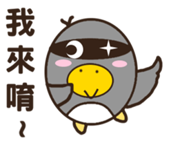 Cool surprise penguins sticker #12059077