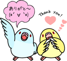Pacific Parrotlet "Mameruliha" sticker #12062070