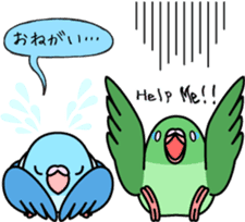 Pacific Parrotlet "Mameruliha" sticker #12062072
