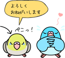 Pacific Parrotlet "Mameruliha" sticker #12062073
